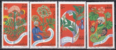 Somalia 1997 - Plante medicinale, MNH foto