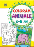 Cumpara ieftin Coloram animale 4-6 ani - Didactica Publishing House