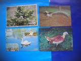 HOPCT LOT NR 379 PASARI DIN ROMANIA-FAUNA -4 CARTI POSTALE-CIRCULATE
