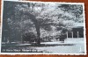 Carte postala, Baia Mare, vedere din parc, 1937