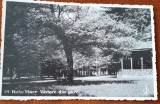 Carte postala, Baia Mare, vedere din parc, 1937