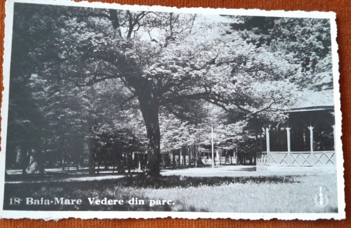 Carte postala, Baia Mare, vedere din parc, 1937