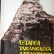 Emil Micu - Cetatea țărănească a R&icirc;șnovului
