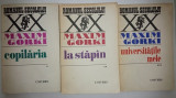 Maxim Gorki - la stapan, copilaria, universitatile mele 3 vol.