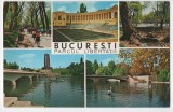 CPI B 11484 CARTE POSTALA - BUCURESTI. PARCUL LIBERTATII, MOZAIC, Circulata, Fotografie