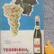 Tehnologia vinului Gh. Bernaz, M. Martin, I. Dumitrescu, D. Bernaz
