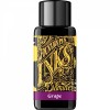 Calimara cerneala Diamine Grape 30ml