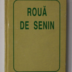 ROUA DIN SENIN - UNIVERS POETIC FRANCOFON , 1995 , CARTE DE FORMAT MIC *