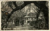 CP1828N Nagyb&aacute;nya - Festő iskola, carte poștală, Baia Mare
