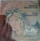 Vinil cu povesti: Ion Lila si Calin Gruia