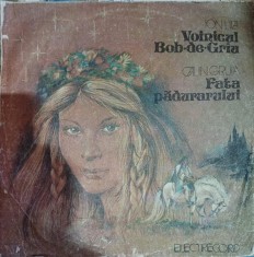 Vinil cu povesti: Ion Lila si Calin Gruia