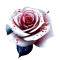 Sticker decorativ, Trandafir, Alb, 63 cm, 10890ST