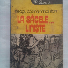 (C427) NEAGU COSMA SI MIHAI STAN - LA SACELE... LINISTE