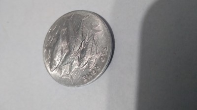 MEDALIE PESCUIT foto