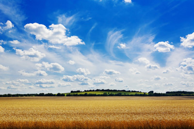 Fototapet de perete autoadeziv si lavabil Natura141, 250 x 150 cm foto