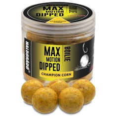 Haldorado - Boilies-uri Max Motion Boilie Dipped 20mm, 80g - Champion corn (porumb)