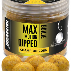 Haldorado - Boilies-uri Max Motion Boilie Dipped 20mm, 80g - Champion corn (porumb)