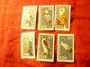 Serie DDR 1967 - Fauna - Pasari , 6 valori, Nestampilat