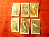 Serie DDR 1967 - Fauna - Pasari , 6 valori, Nestampilat