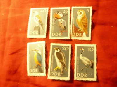 Serie DDR 1967 - Fauna - Pasari , 6 valori foto