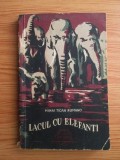 Mihai Tican Rumano - Lacul cu elefanti