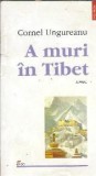 A muri in Tibet - Cornel Ungureanu
