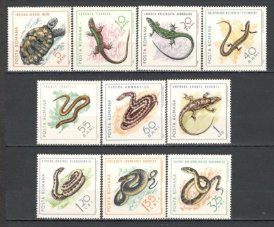 Romania.1965 Reptile XR.499 foto