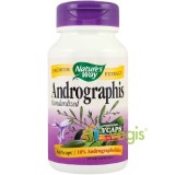 Andrographis 60cps