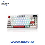 Tastatura mecanica gaming wireless AULA NOVA75 Pro, semnatura artistica gravata placata cu aur,75%, Caramel Latte, Bluetooth/2.4G/USB-C, RGB, hot-swap