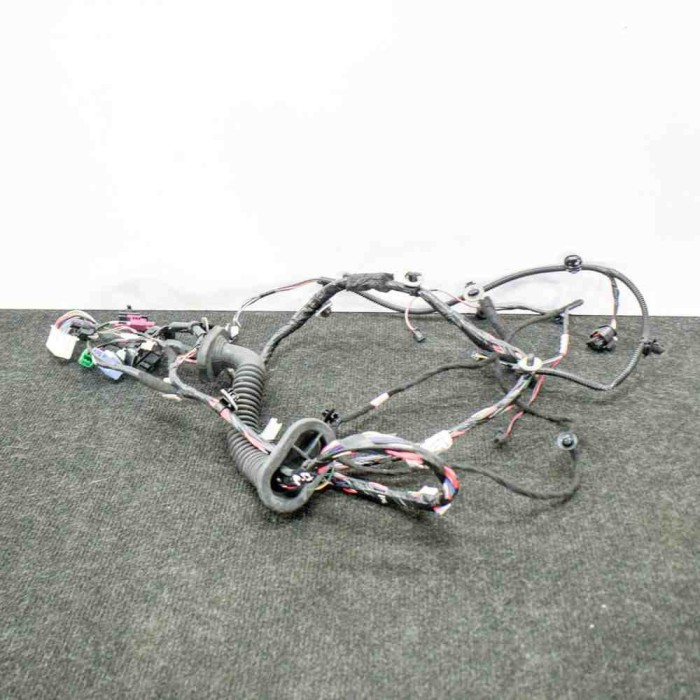 Cablaj ușă dreapta față TESLA MODEL 3 2018 OEM: 1067963-00-D 11374184