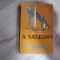 A.Saligny de Ion Crisan