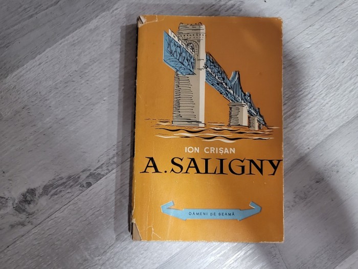 A.Saligny de Ion Crisan