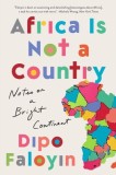 Africa Is Not a Country: Notes on a Bright Continent