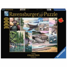 Puzzle Colaj Coasta De Vest, 1000 Piese