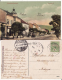 Tarnaveni (.Mures)- rara