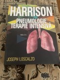 Harrison - Pneumologie si terapie intensiva, Alte carti medicina, ALL