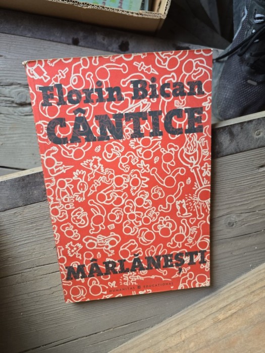 Cantice - Florin Bican