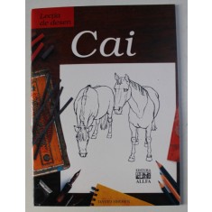 LECTIA DE DESEN : CAI de DAN BROWN , 2005