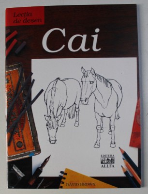 LECTIA DE DESEN : CAI de DAN BROWN , 2005 foto