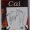 LECTIA DE DESEN : CAI de DAN BROWN , 2005