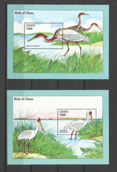 GHANA 1994 FAUNA PASARI