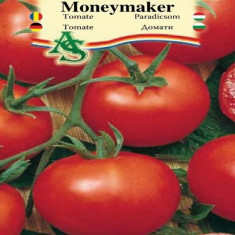 Seminte tomate Moneymaker foto