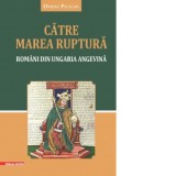 Catre marea ruptura. Romani din Ungaria Angevina - Ovidiu Pecican