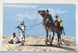 Bnk cp Algeria - Beduini in desert - necirculata, Printata