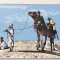 bnk cp Algeria - Beduini in desert - necirculata