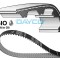 DAYCO 941120 Curea de distributie