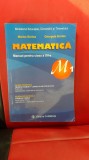 MATEMATICA CLASA A XII A , M1 - BURTEA -TERETICA SI VOCATIONALA ., Clasa 12