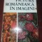 PICTURA ROMANEASCA IN IMAGINI, DRAGUT, FLOREA- cartonata, supracoperta