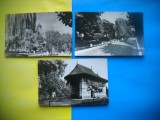 HOPCT LOT NR 144 RADAUTI -JUD SUCEAVA-3 CARTI POSTALE-RPR-CIRCULATE