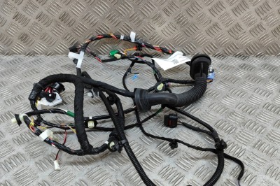 Cablaj ușă st&amp;acirc;nga față TESLA MODEL 3 2023 OEM: 3067957-02-C 23317913 foto